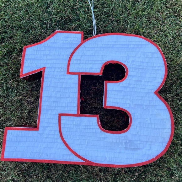 #13 Pinata - Picture 1 of 2